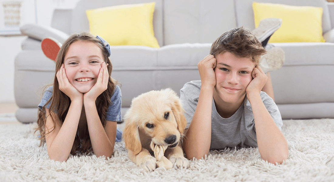 Shelby Township Carpet and Floors