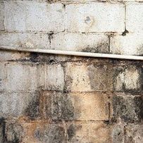 Novi Mold Inspection