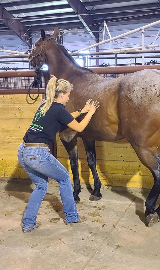 Triggerpoint Equine & K9 Sports Massage Therapy