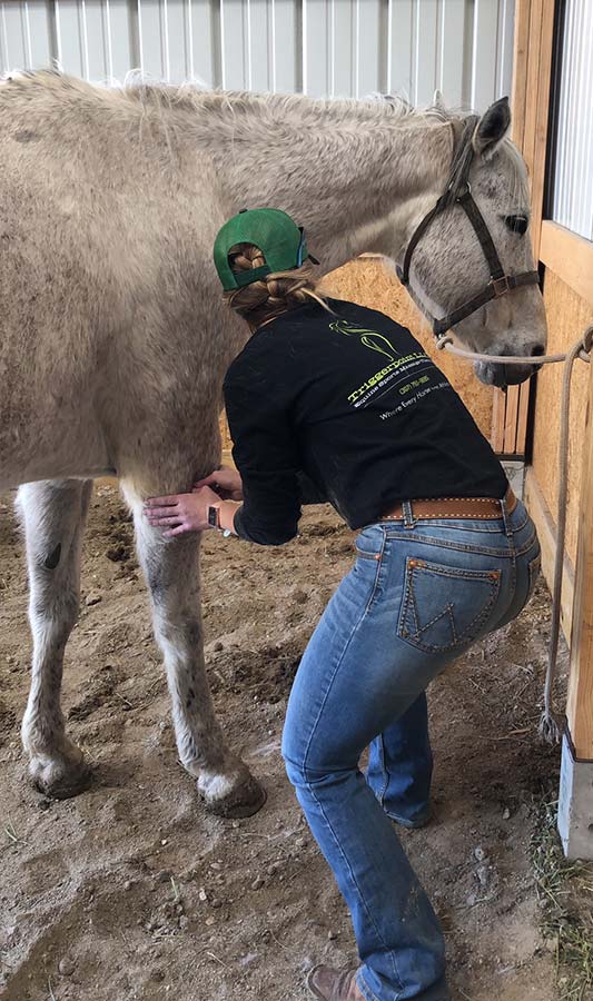 Triggerpoint Equine & K9 Sports Massage Therapy