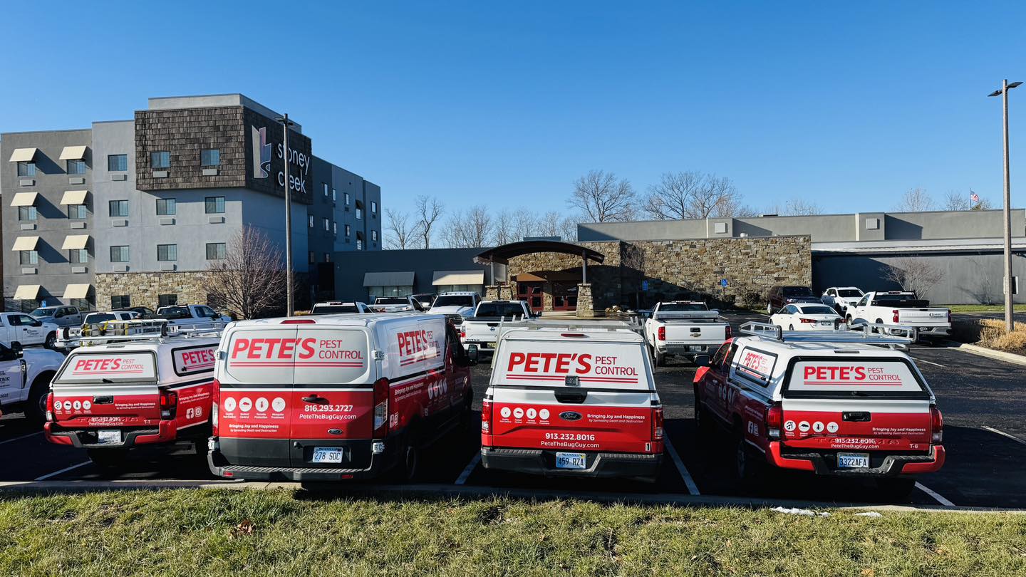 Pete's Pest Control - Saint  Joseph, MO