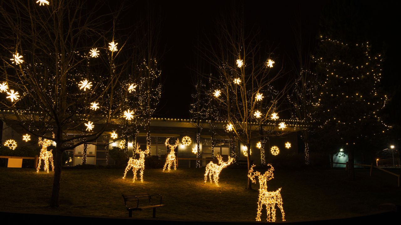 Christmas Light Installation Broomfield CO
